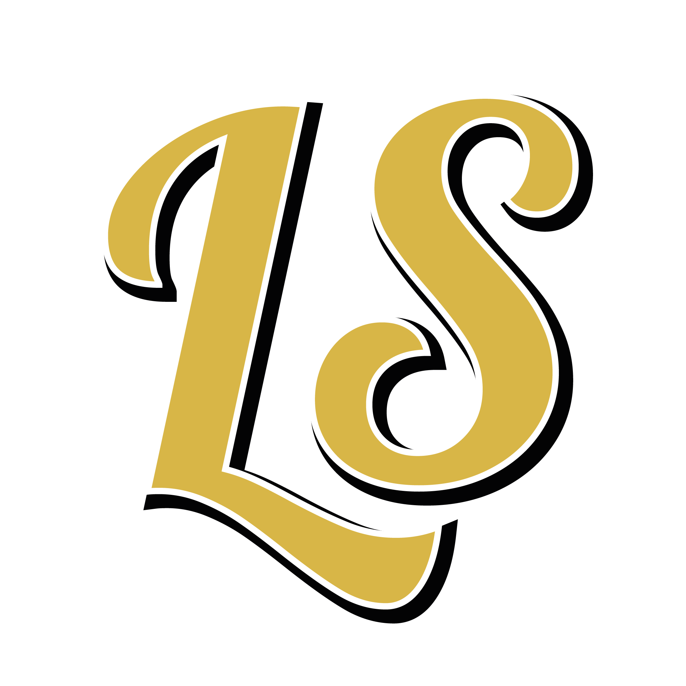 Logo The Liam Skye Show